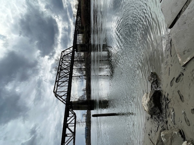 bridge3